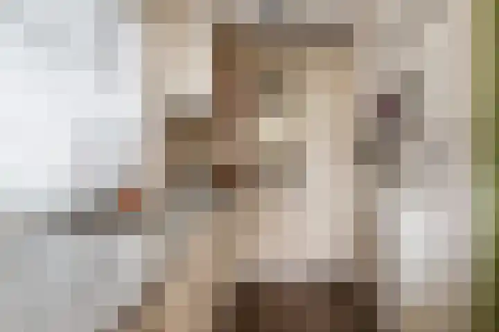 Stephensonstraat 4 Utrecht thumbnail 8