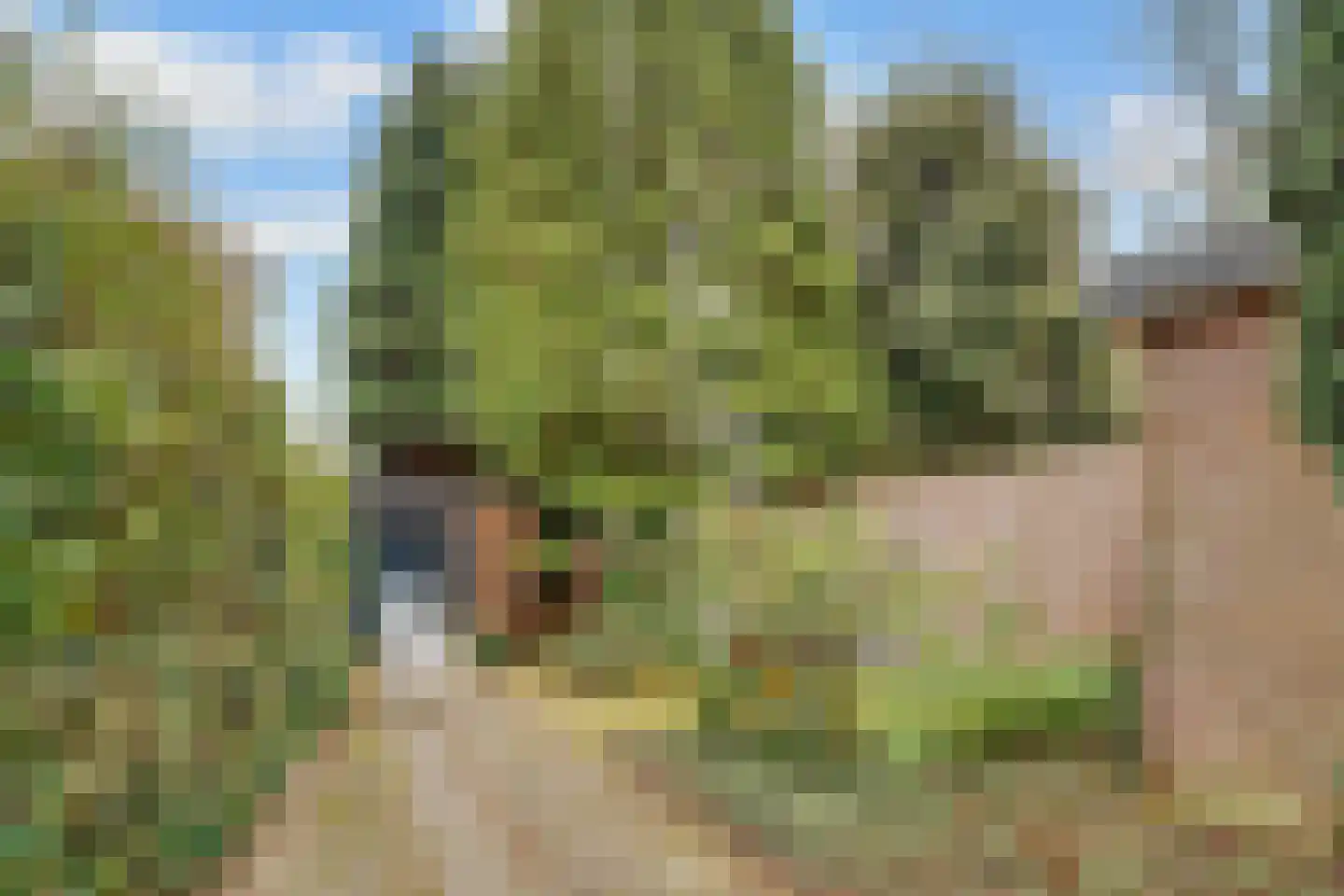 Stephensonstraat 6 Amersfoort thumbnail 41