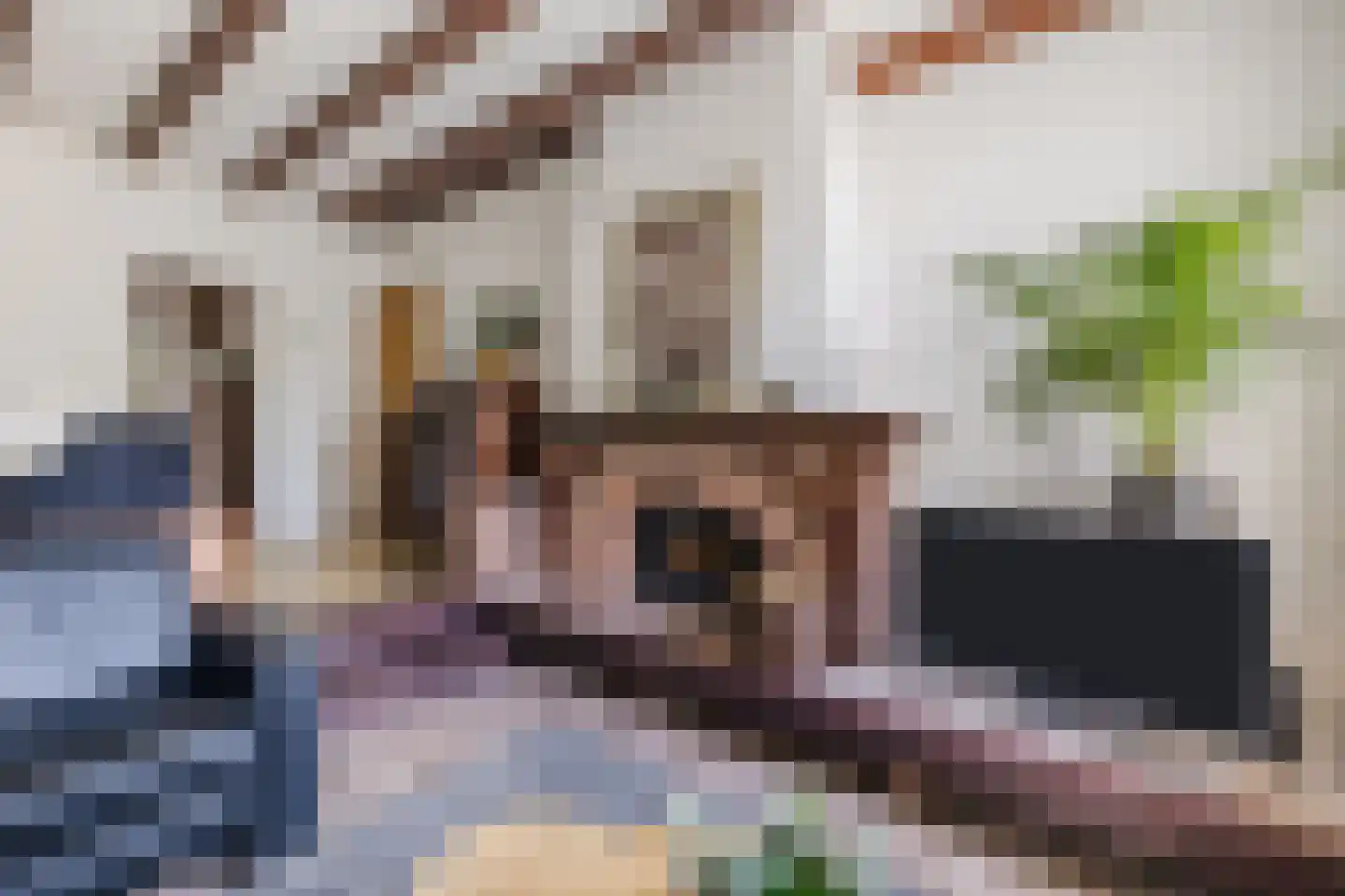 Stephensonstraat 92 Hoogeveen thumbnail 15