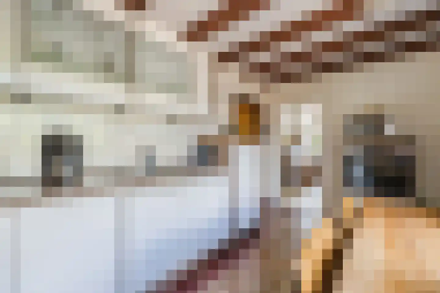 Stephensonstraat 92 Hoogeveen thumbnail 25