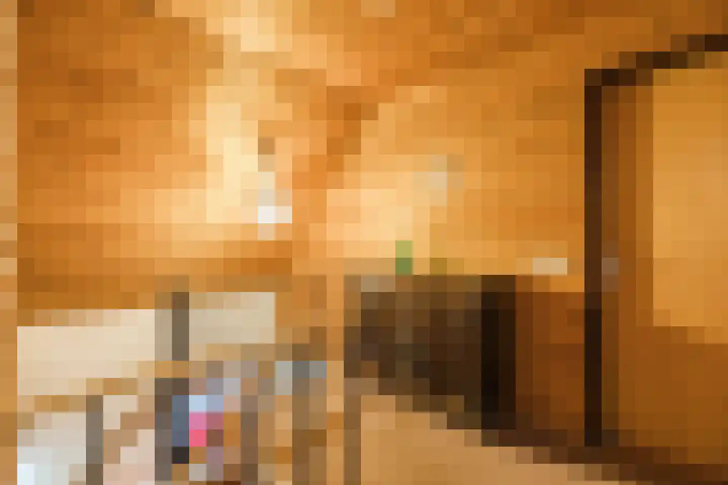Stephensonstraat 92 Hoogeveen thumbnail 35