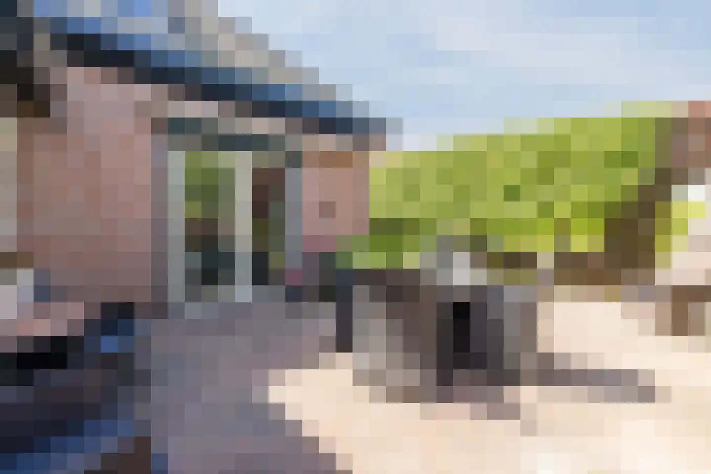 Stephensonstraat 92 Hoogeveen thumbnail 41