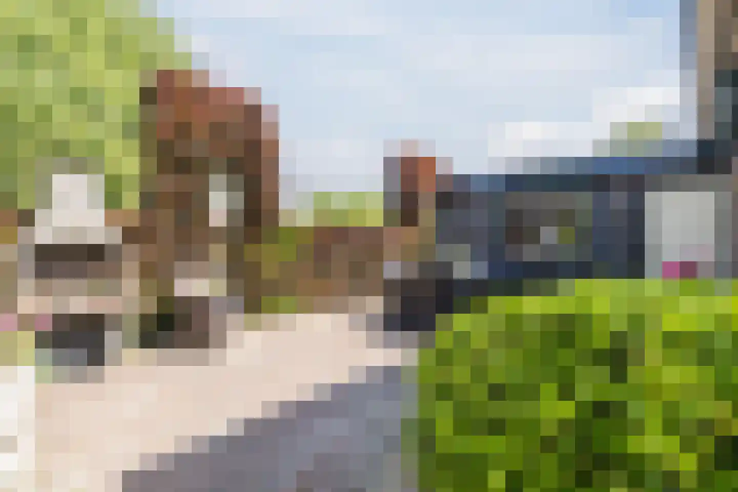 Stephensonstraat 92 Hoogeveen thumbnail 43