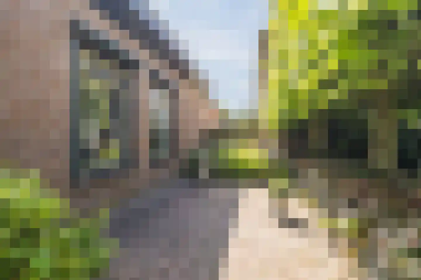 Stephensonstraat 92 Hoogeveen thumbnail 44
