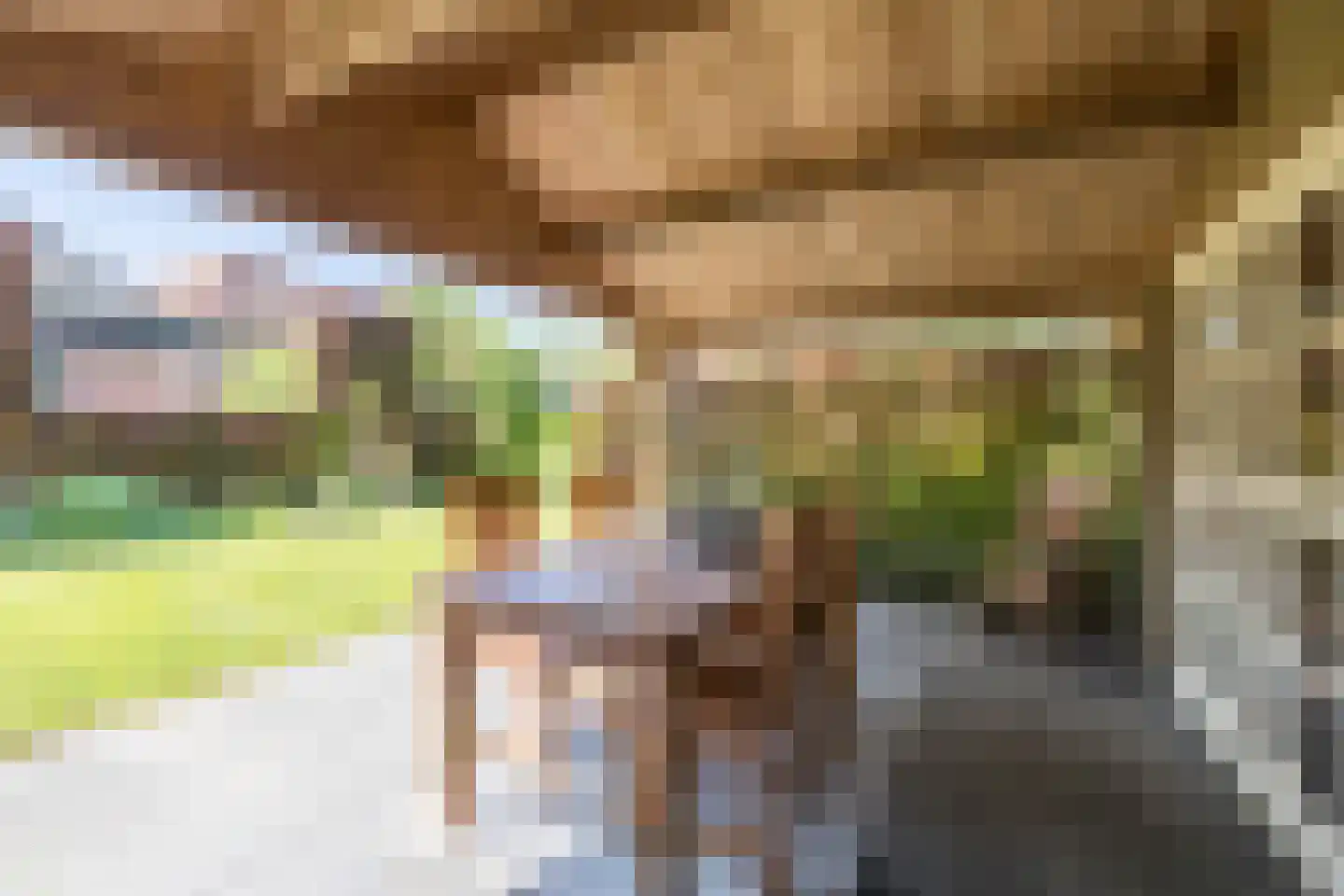 Stephensonstraat 92 Hoogeveen thumbnail 49