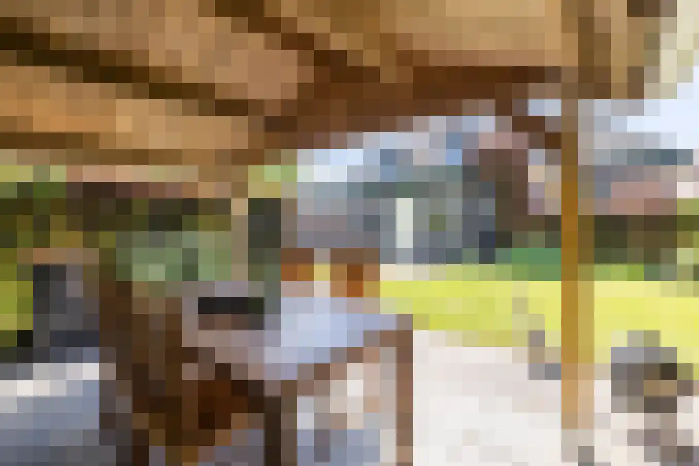 Stephensonstraat 92 Hoogeveen thumbnail 5