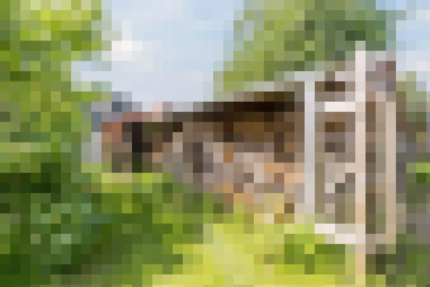 Stephensonstraat 92 Hoogeveen thumbnail 52