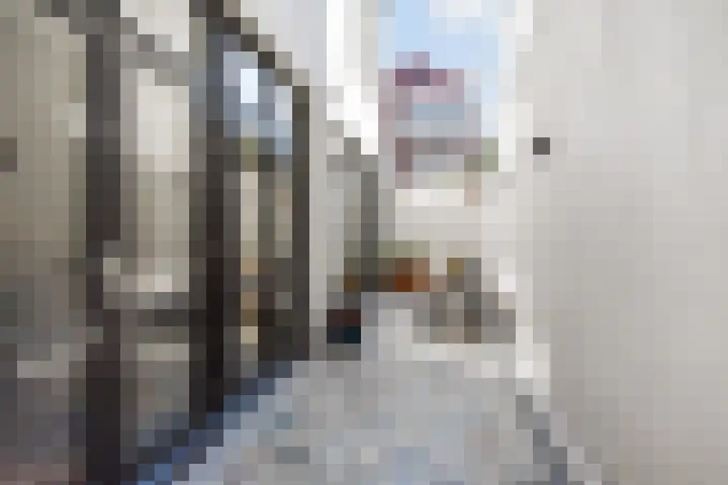Stephensonstraat 98 Den Haag thumbnail 39