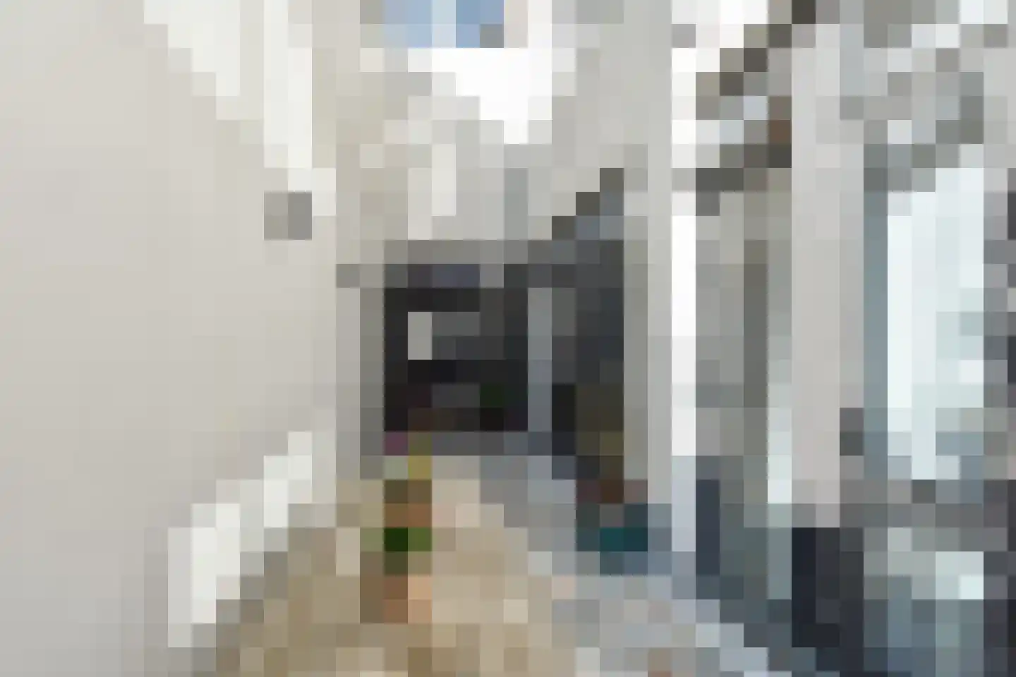 Stephensonstraat 98 Den Haag thumbnail 41