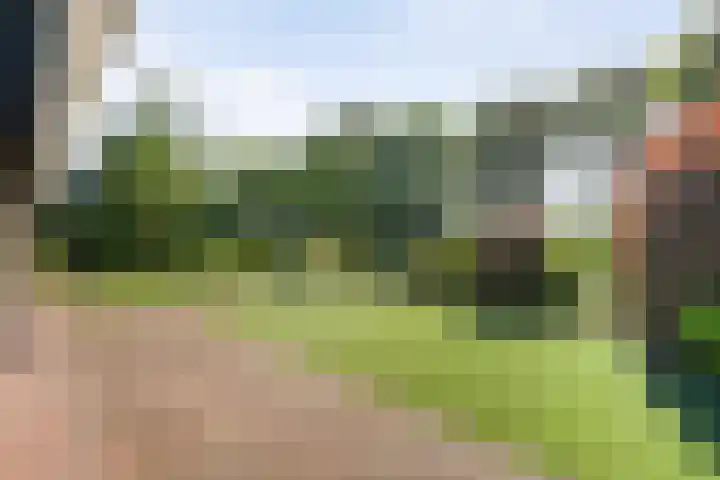 Stephensonweg 12 Coevorden thumbnail 10
