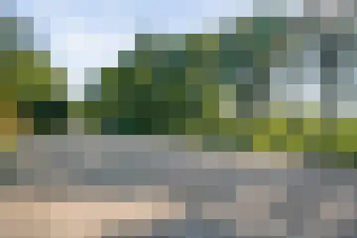 Stephensonweg 12 Coevorden thumbnail 12