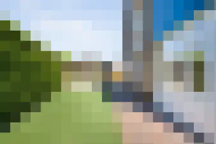 Stephensonweg 12 Coevorden thumbnail 13