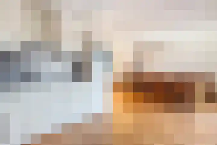 Stephensonweg 12 Coevorden thumbnail 23