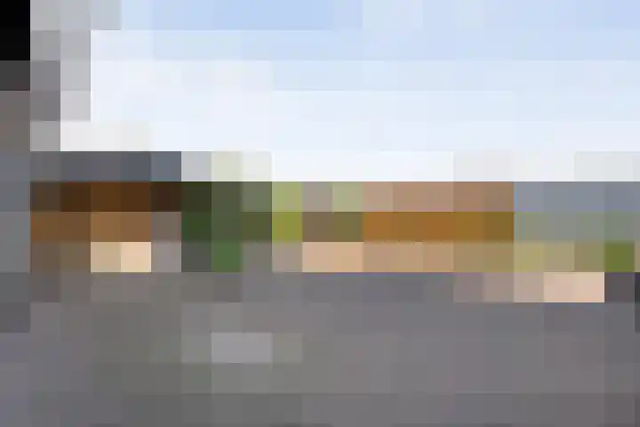 Stephensonweg 12 Coevorden thumbnail 44