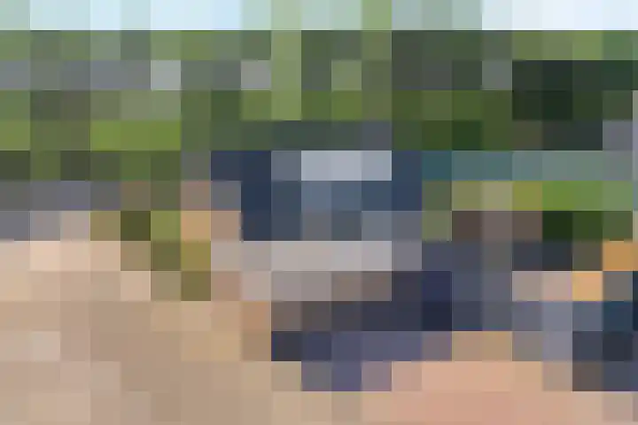 Stephensonweg 12 Coevorden thumbnail 6