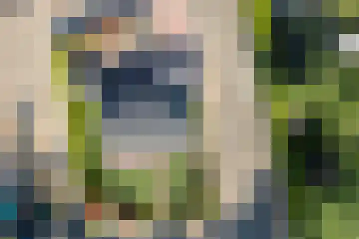 Stephensonweg 12 Coevorden thumbnail 7