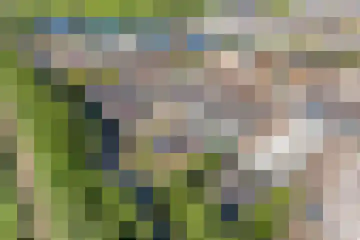Stephensonweg 12 Coevorden thumbnail 8