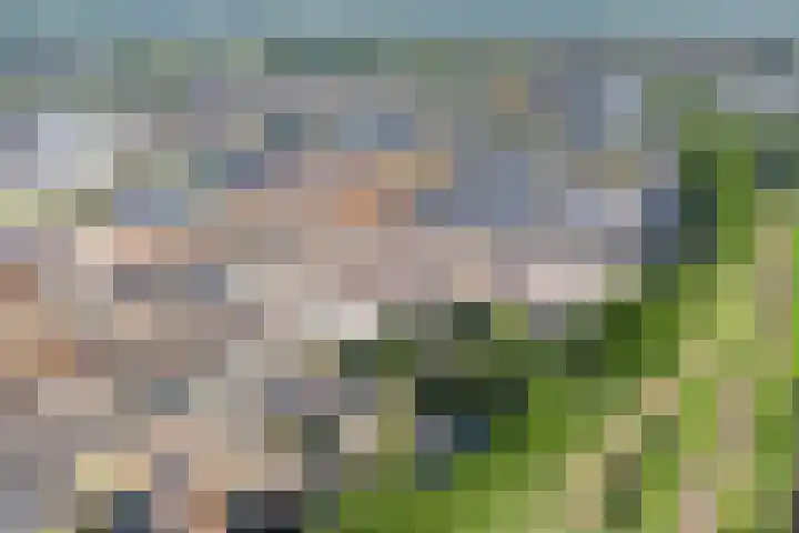 Stephensonweg 12 Coevorden thumbnail 9