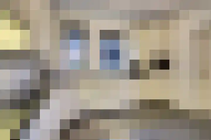 Stepke 11 Veldhoven thumbnail 15