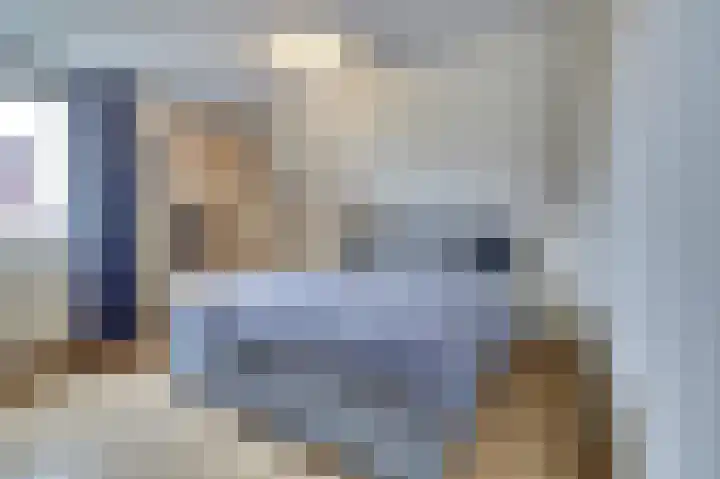 Stepke 11 Veldhoven thumbnail 24