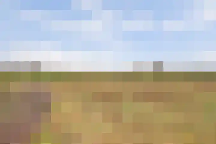 Stepke 11 Veldhoven thumbnail 4