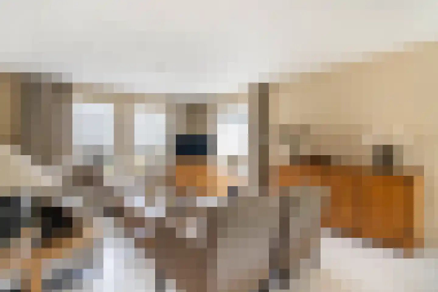 Stepke 4 Nederweert thumbnail 12