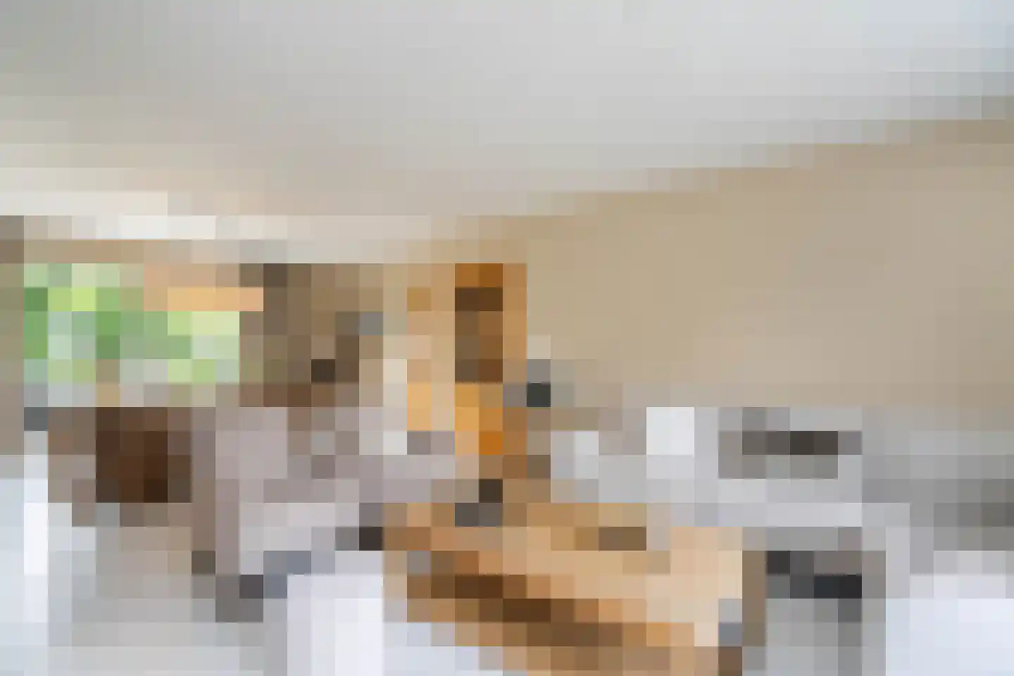 Stepke 4 Nederweert thumbnail 14