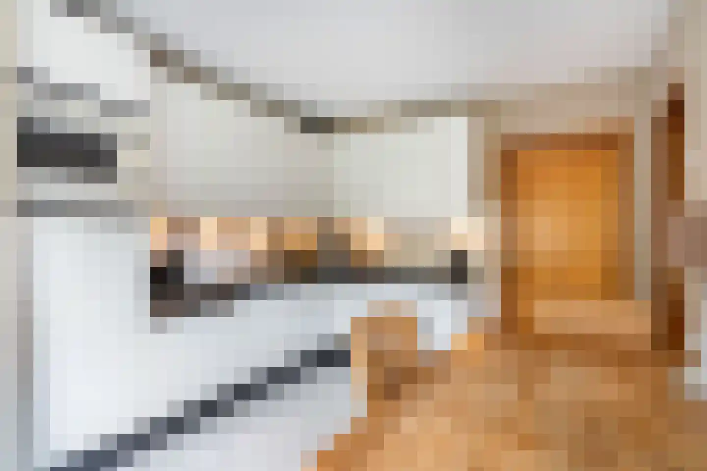 Stepke 4 Nederweert thumbnail 19