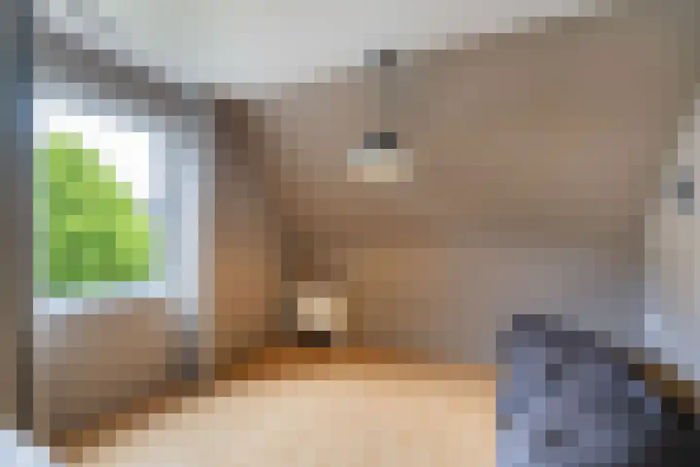 Stepke 4 Nederweert thumbnail 31