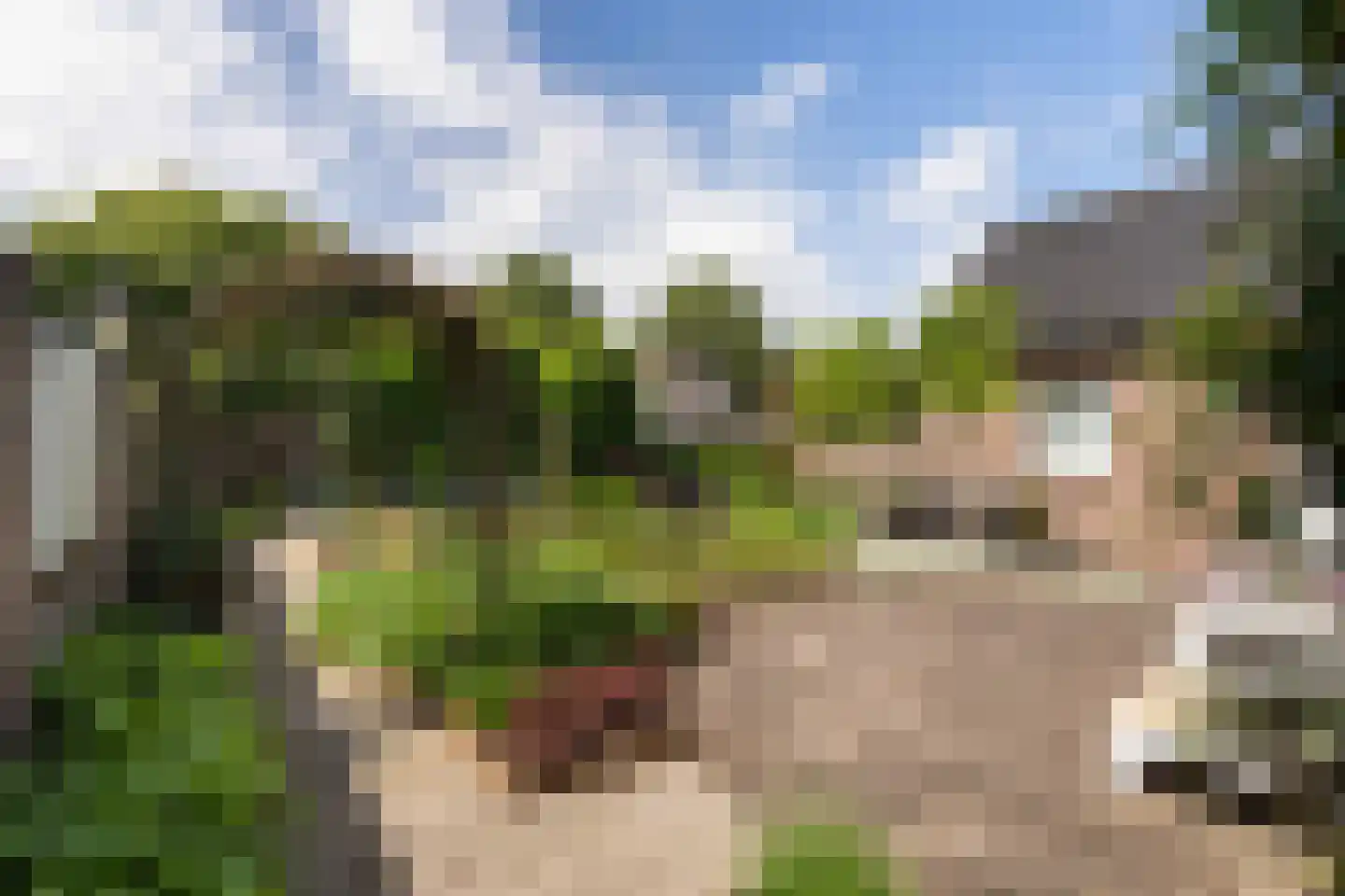 Stepke 4 Nederweert thumbnail 44