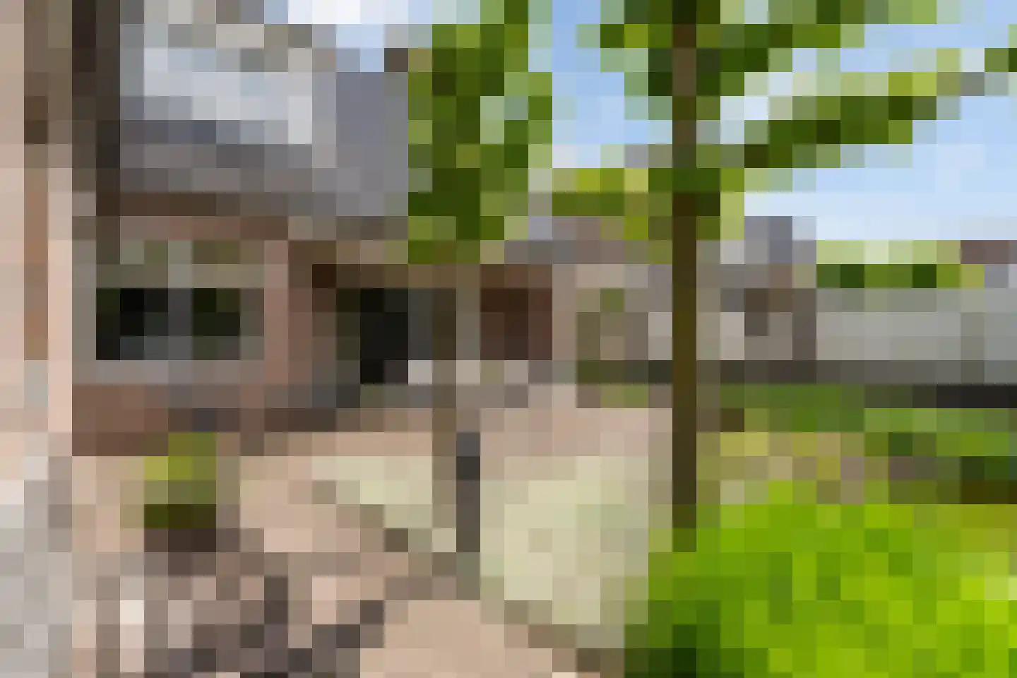Stepke 4 Nederweert thumbnail 47