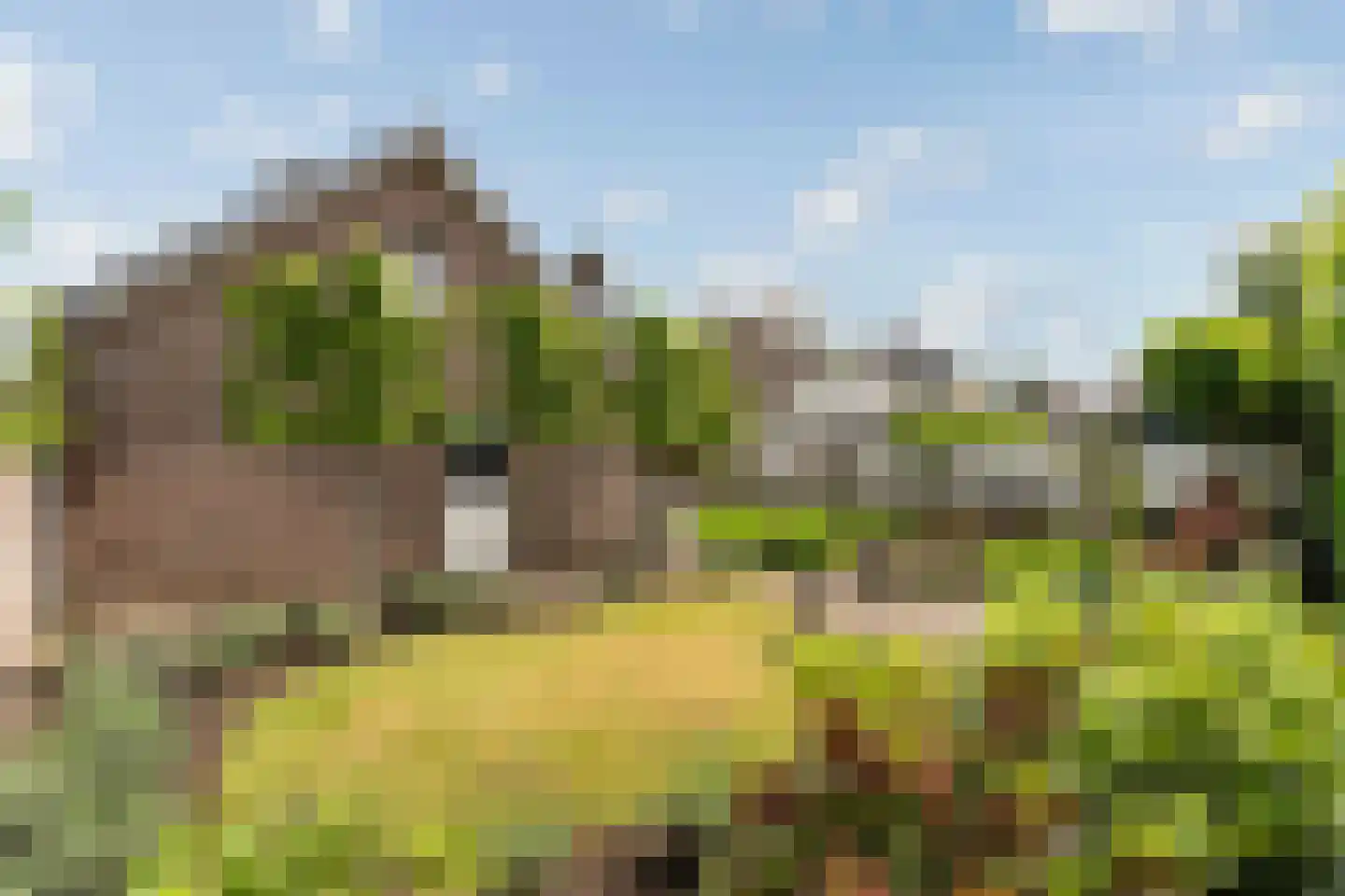 Stepke 4 Nederweert thumbnail 49