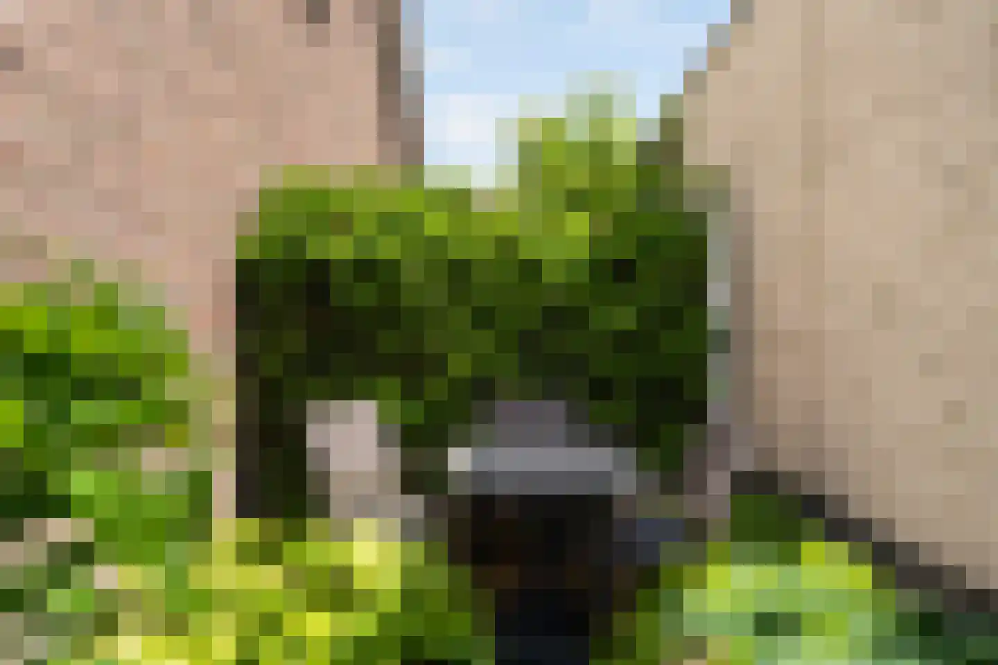 Stepke 4 Nederweert thumbnail 52