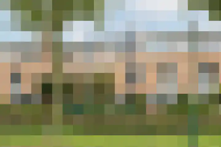 Steppemeer 21 Houten