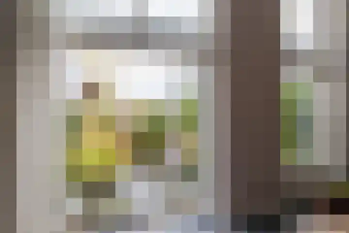 Steppemeer 21 Houten thumbnail 22