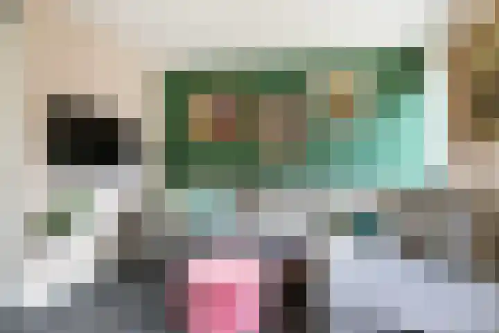 Steppemeer 21 Houten thumbnail 27