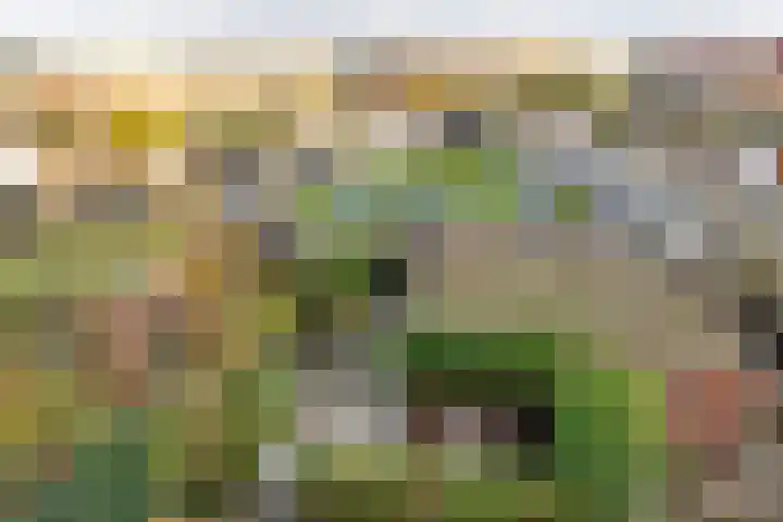 Steppemeer 21 Houten thumbnail 37