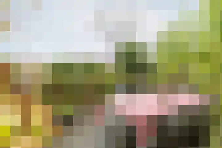 Steppemeer 21 Houten thumbnail 4