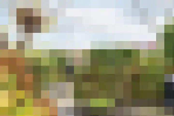 Steppemeer 21 Houten thumbnail 42
