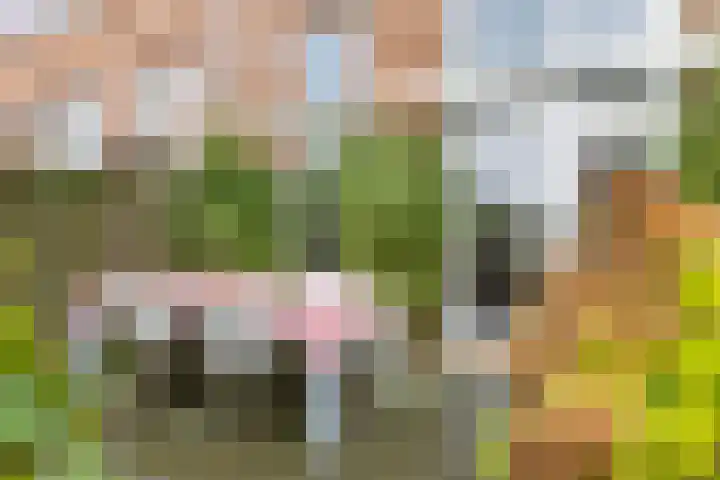 Steppemeer 21 Houten thumbnail 43