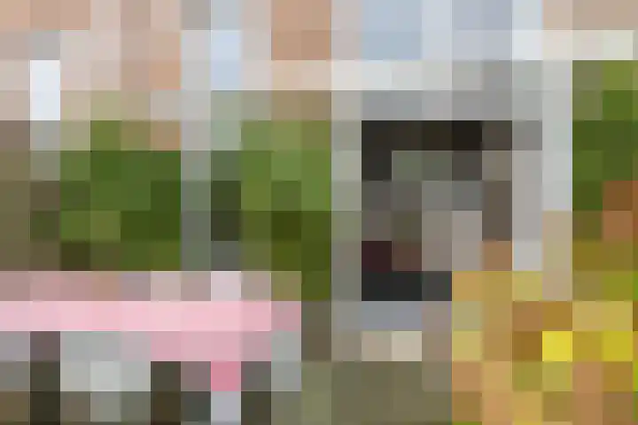 Steppemeer 21 Houten thumbnail 44