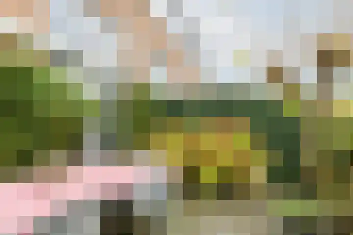 Steppemeer 21 Houten thumbnail 45