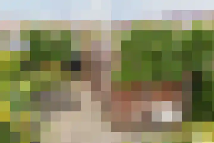 Steppemeer 21 Houten thumbnail 46
