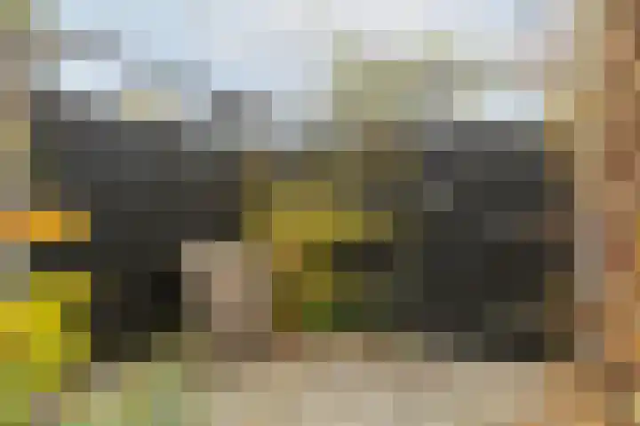 Steppemeer 21 Houten thumbnail 48