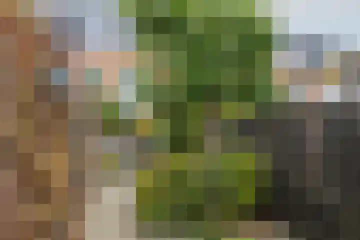 Steppemeer 21 Houten thumbnail 49
