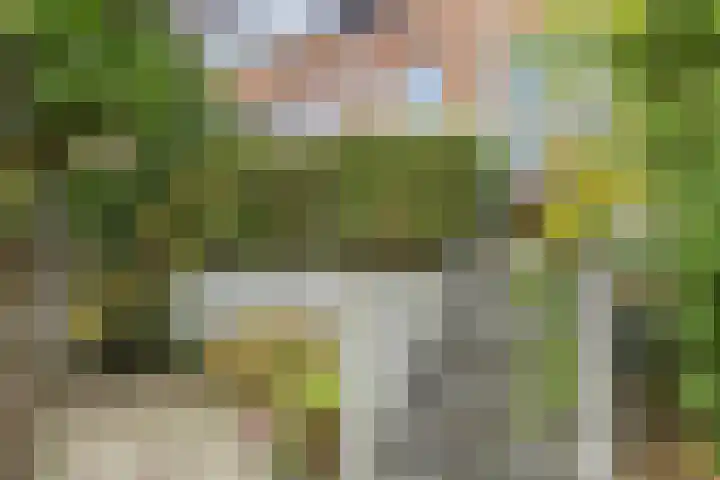 Steppemeer 21 Houten thumbnail 50