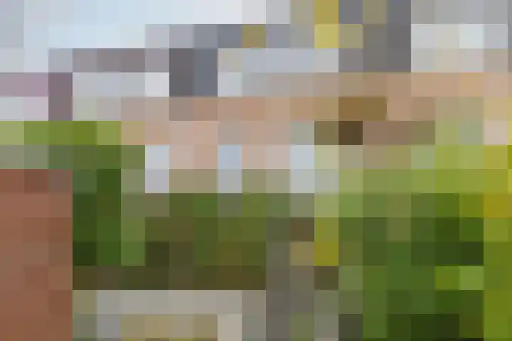 Steppemeer 21 Houten thumbnail 51