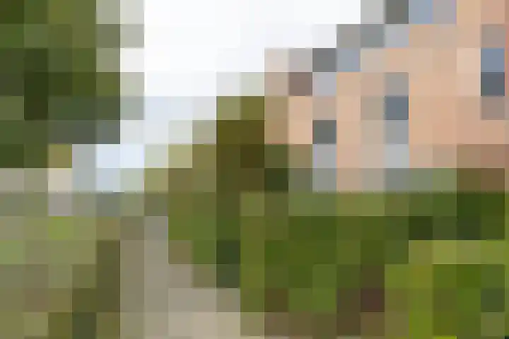 Steppemeer 21 Houten thumbnail 54