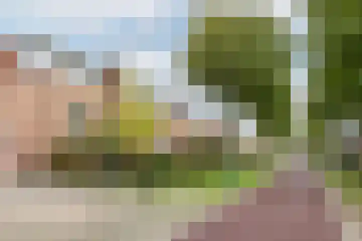 Steppemeer 21 Houten thumbnail 55