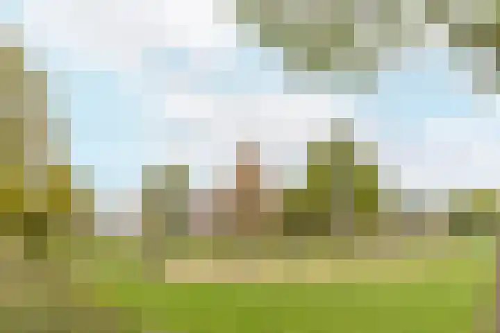 Steppemeer 21 Houten thumbnail 57